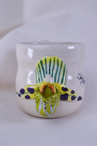 Orchid Cortado Cup #5
